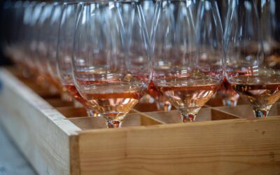 A Quick Buying Guide to Rosé Wine