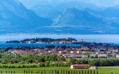A Journey Through Northern Italian White Wines