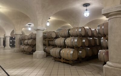 Ca dei Frati’s Lugana – The Wine and Region