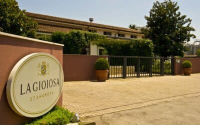 La Gioiosa – A Leader in Italy’s Prosecco